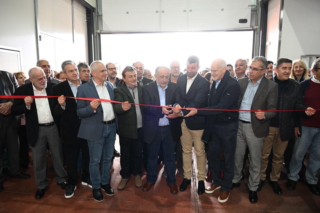 Zoinos Patra Egkainia 3