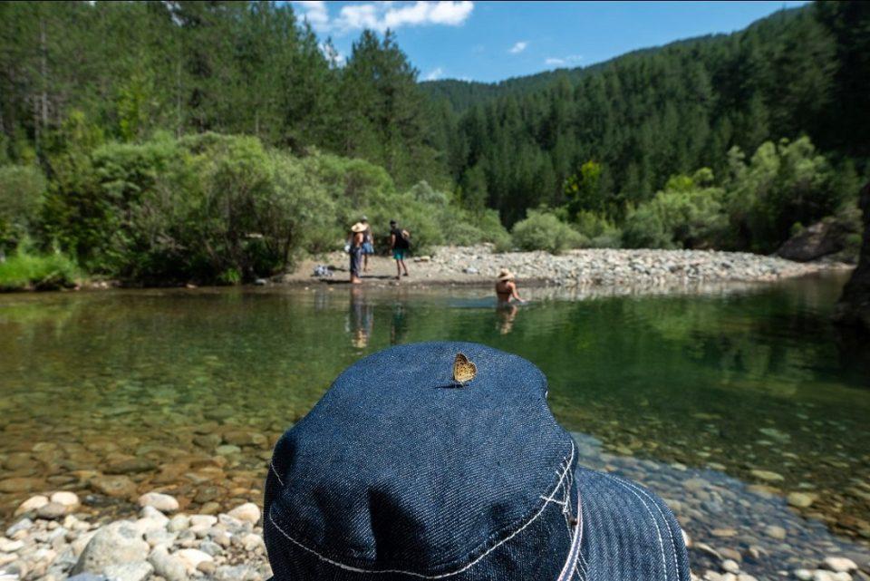 Festival Vovousas Kapelo