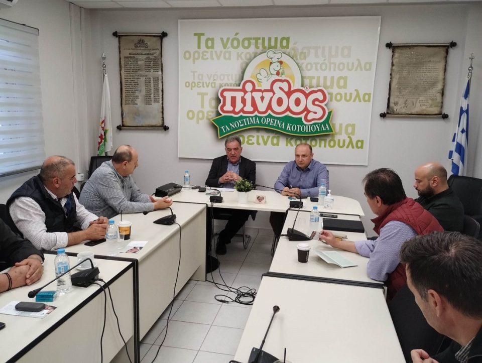 Γάτσιος ΠΙΝΔΟΣ 2