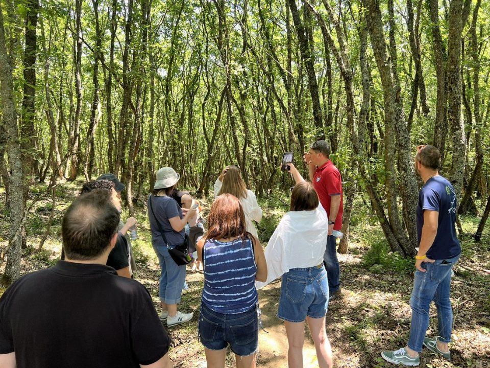 Israilinoi Dimos Zitsas