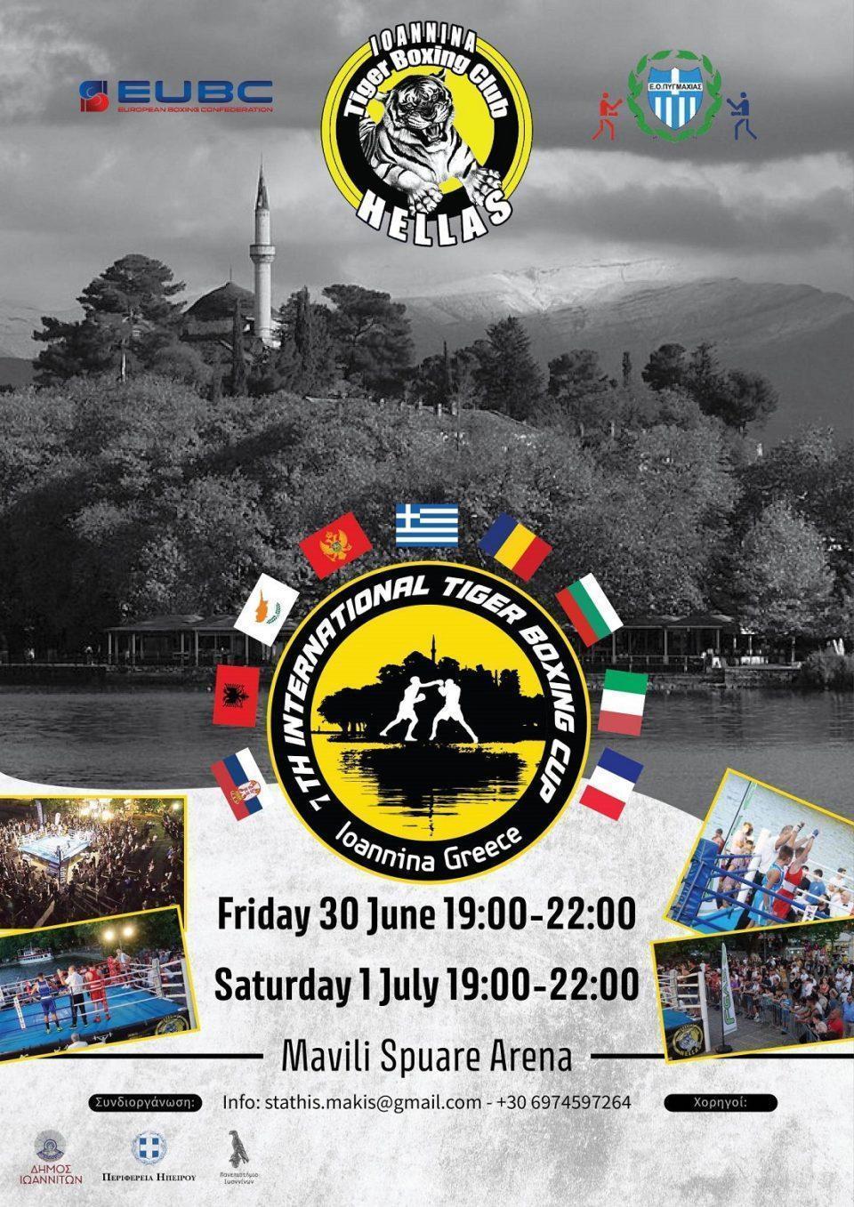 Tiger Boxing Cup 7th