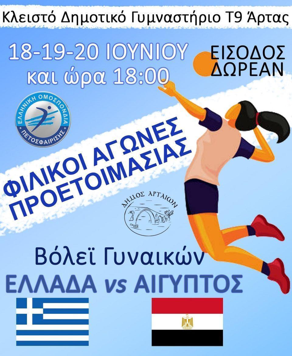 afisa volley arta