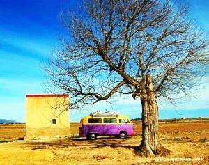 ΑΓΑΘΟΠΟΥΛΟΥ ΑΡΤΕΜΙΣ ΒΑΝΆΚΙ