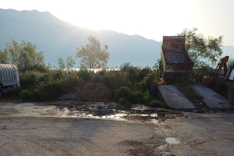 Ergotaxio laspes aporrimmatofora 1