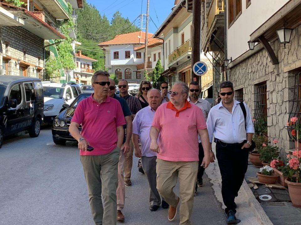 Rizopoulos Metsovo