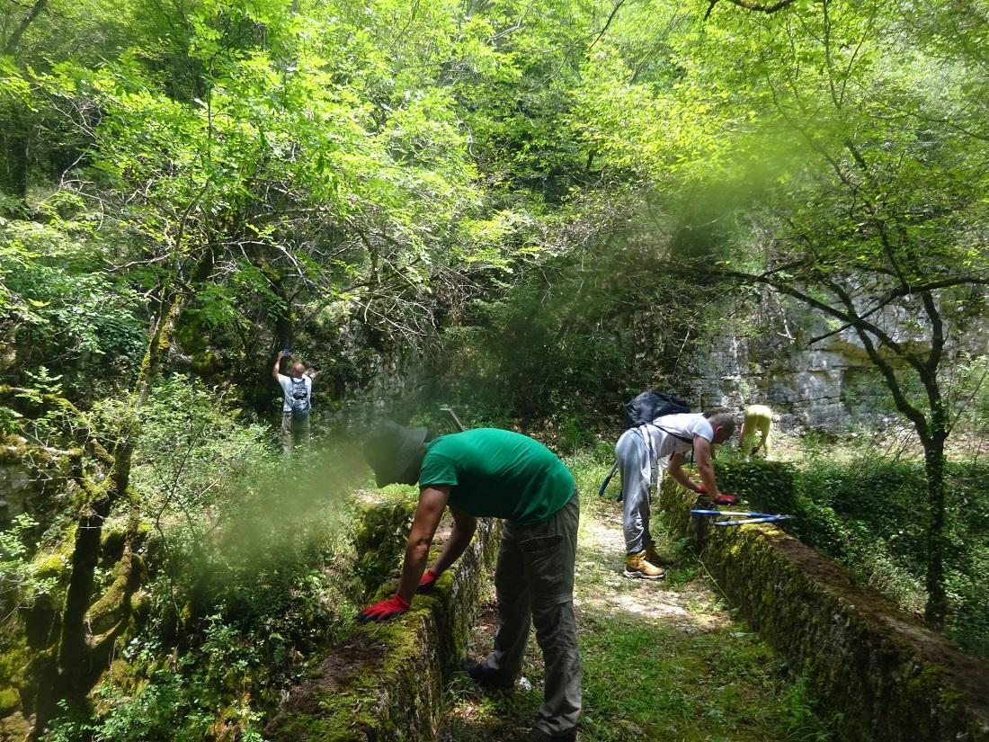 katharismos monopatiwn Pwgwni 2