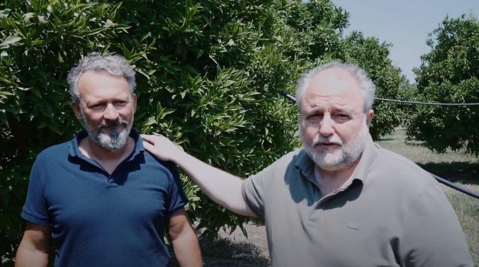 Rizopoulos agrotis