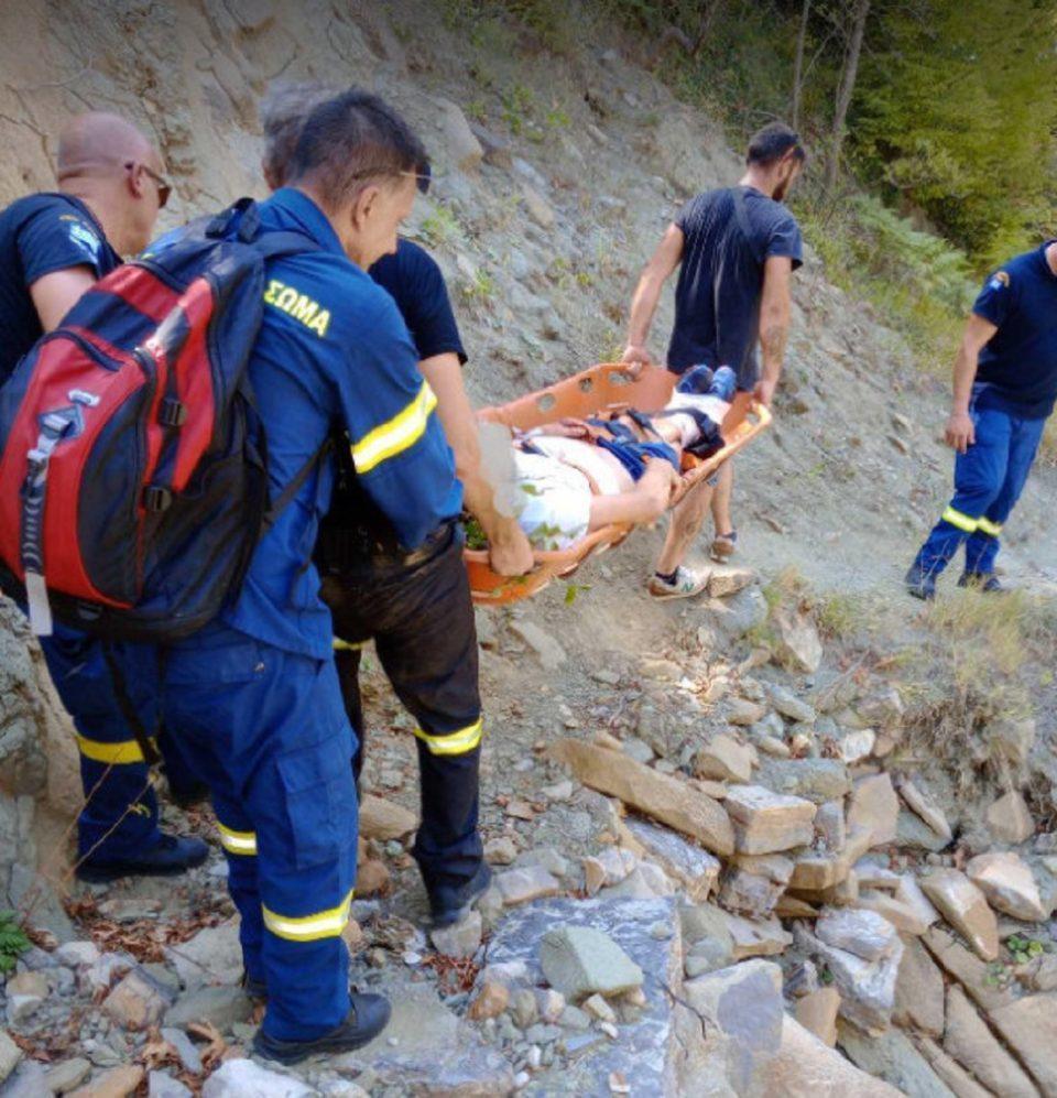 epithesi arkoudas oreina artas3