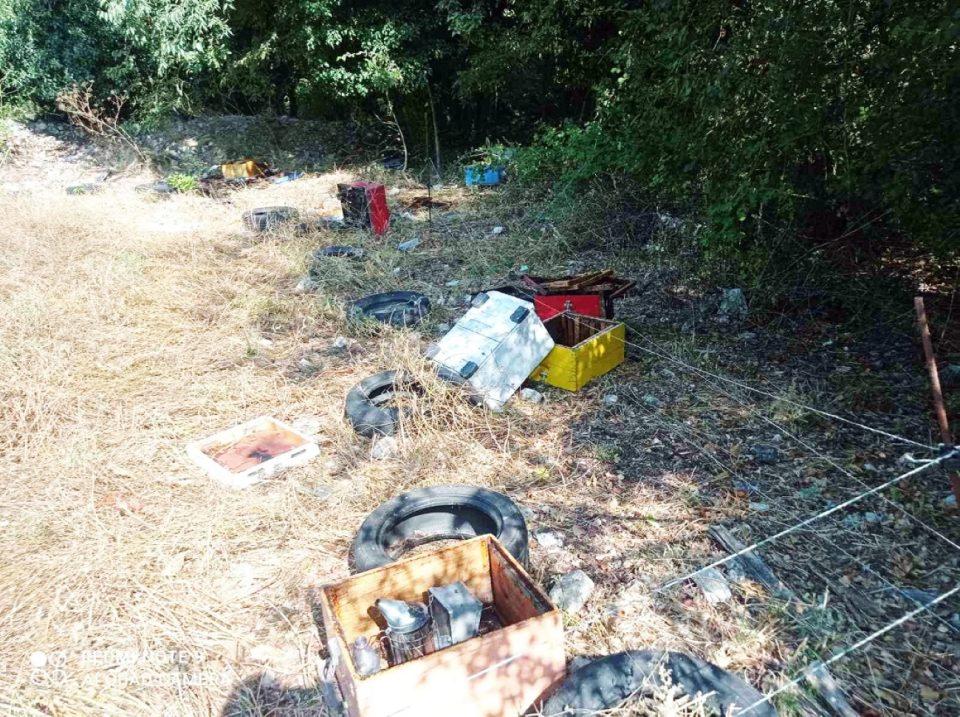 arkoudes melissia 3 Custom