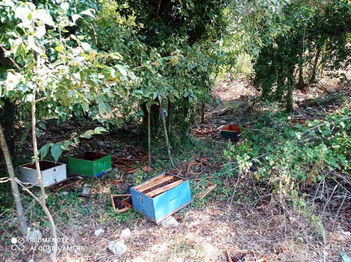 «Πονοκέφαλος» οι επιθέσεις αρκούδων 56 arkoudes melissia 4 Custom scaled