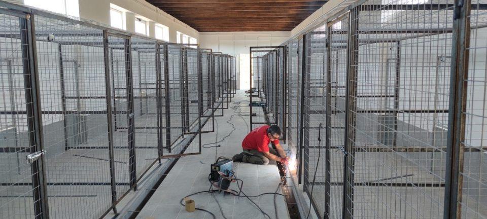 katafigio nea pteryga 2