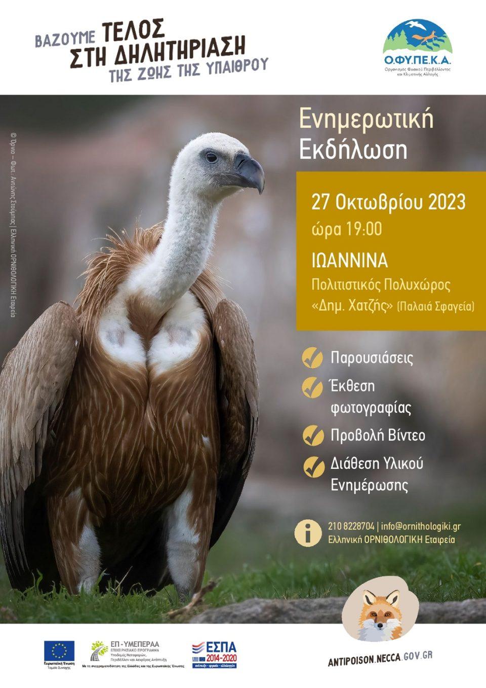 dolwmata ioannina poster