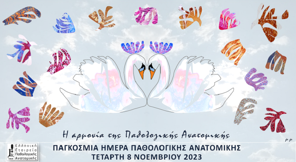 pathologoanatomia poster