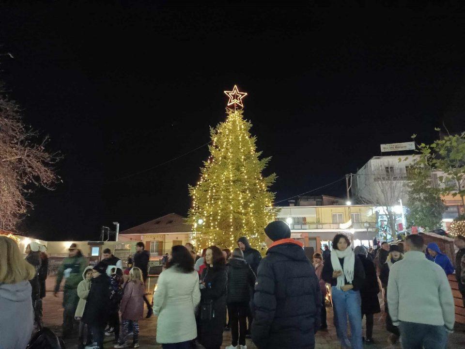 Fwtagwgisi Dentro Konitsa 2