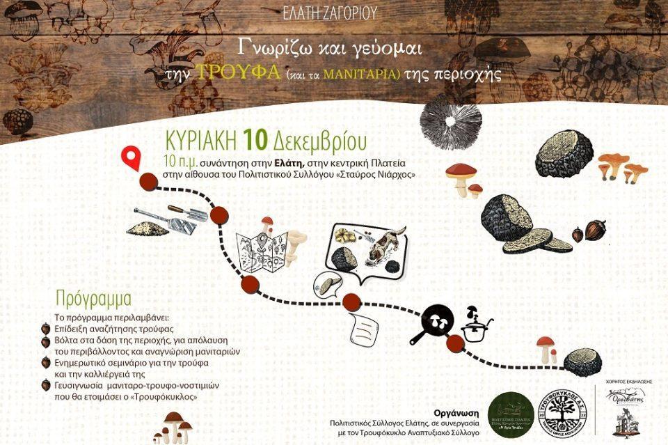 troufokyklos Elati poster