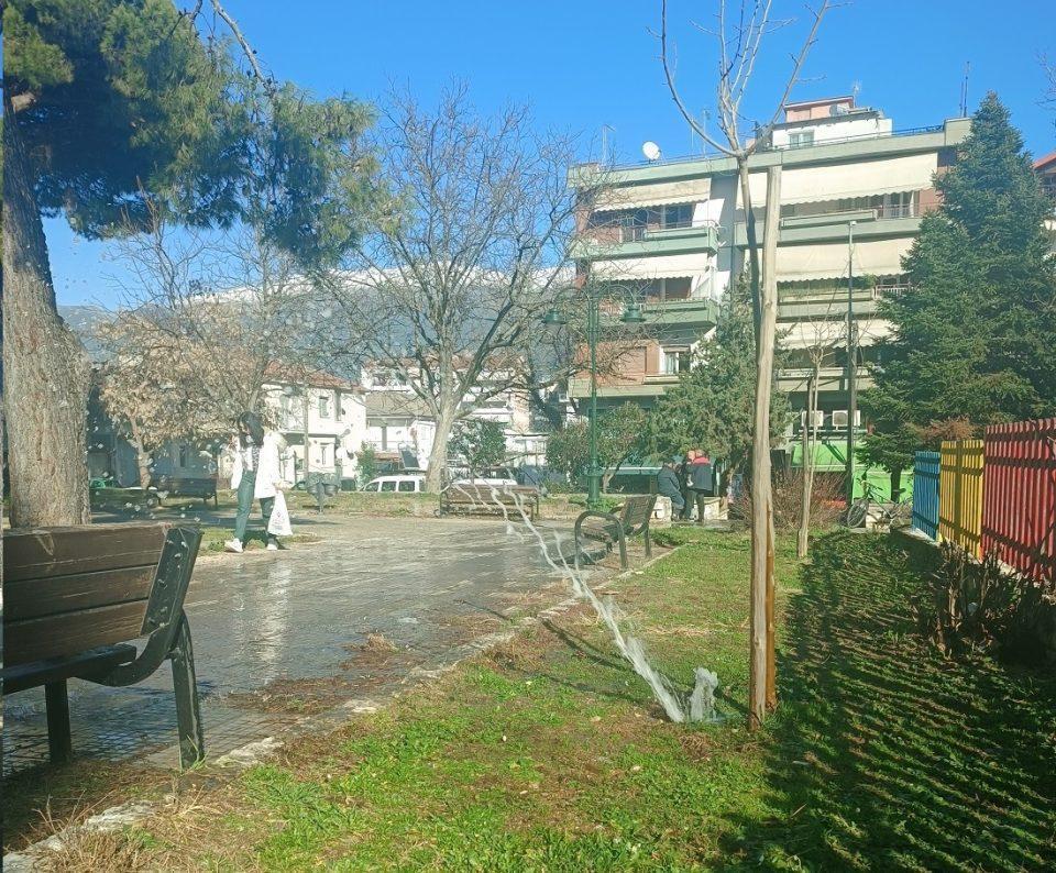 pidakasnerou girokomeio 1