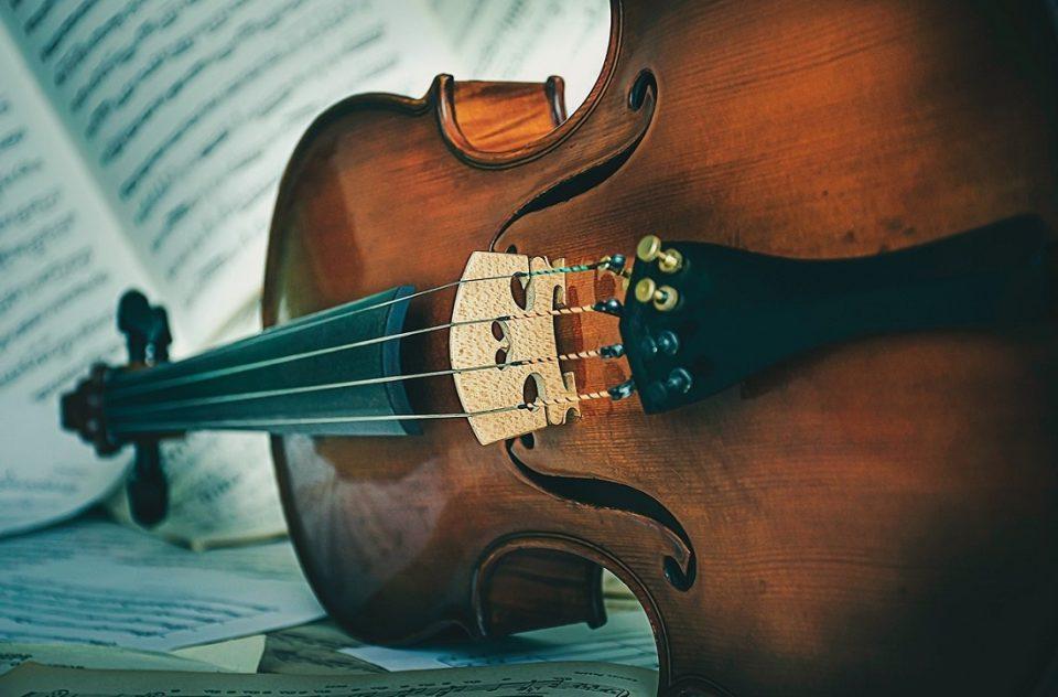violi