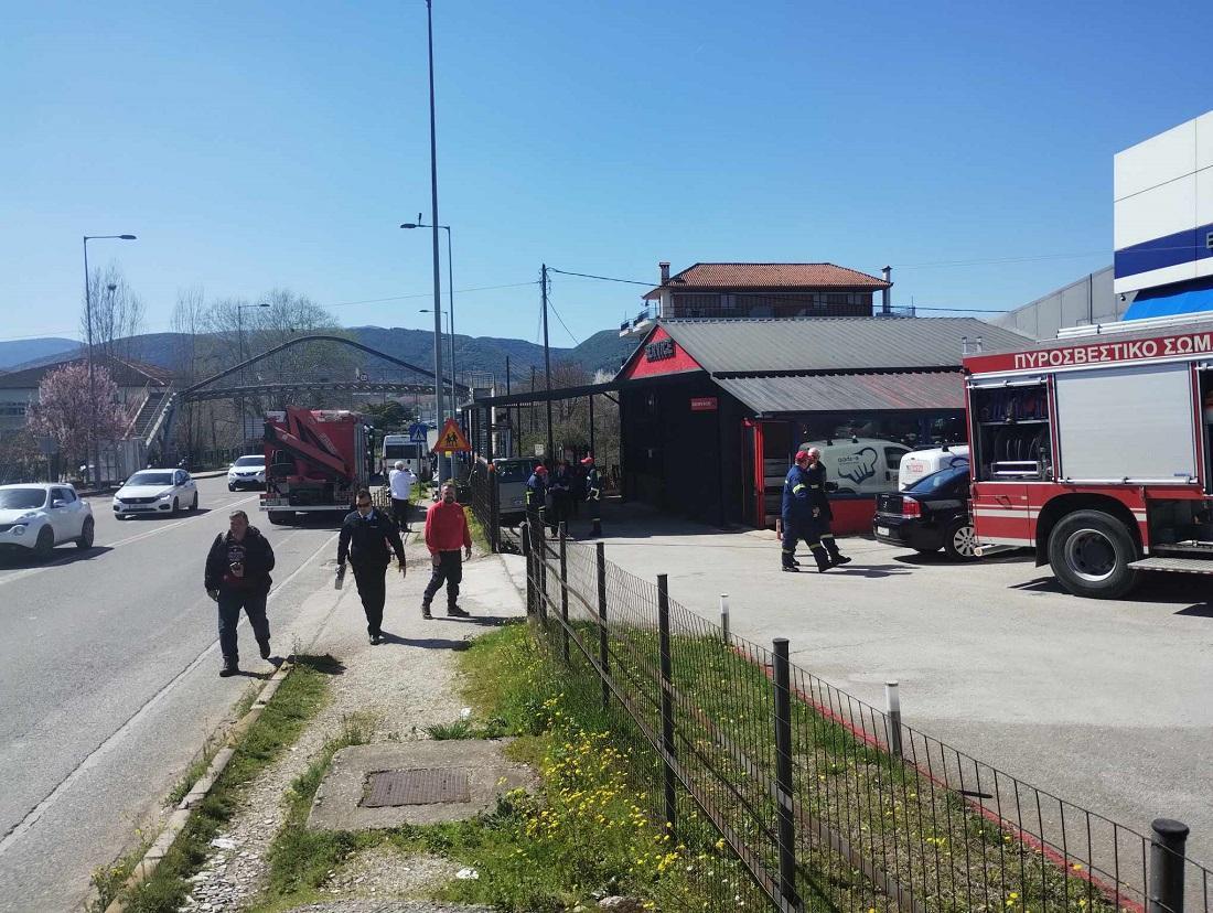 troxaio paneipirotiko1