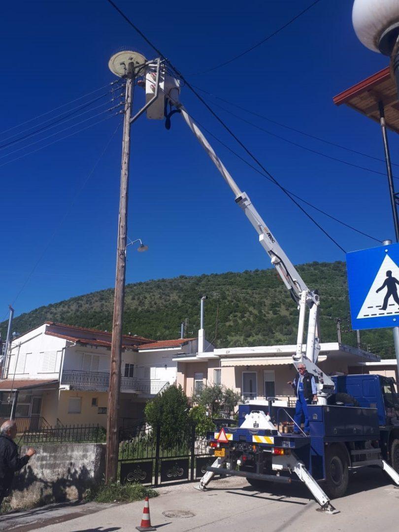 Fwlia pelargwn Kefalovryso