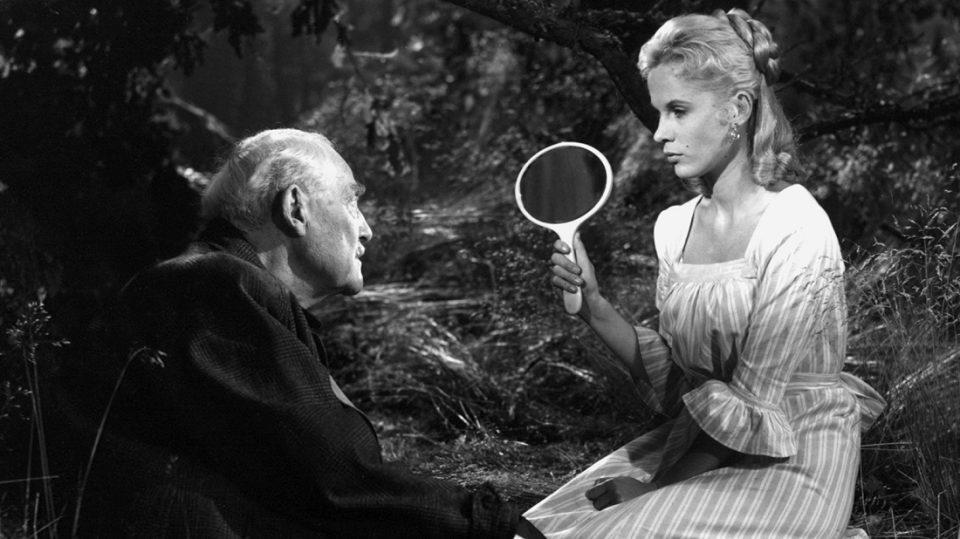 wild strawberries