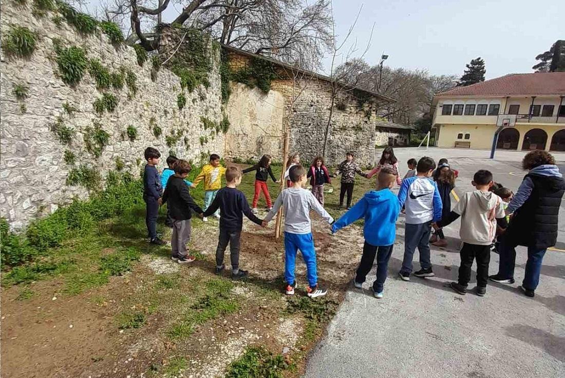Ένα δέντρο σε δέκα σχολικές αυλές από την ΠΕΕΚΠΕ Ηπείρου 52 Dentrofytefis Sxoleio 1