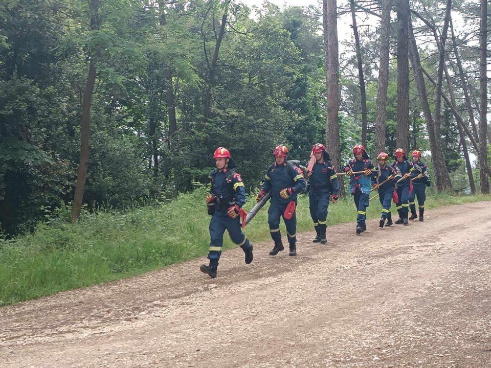 dia pyros1