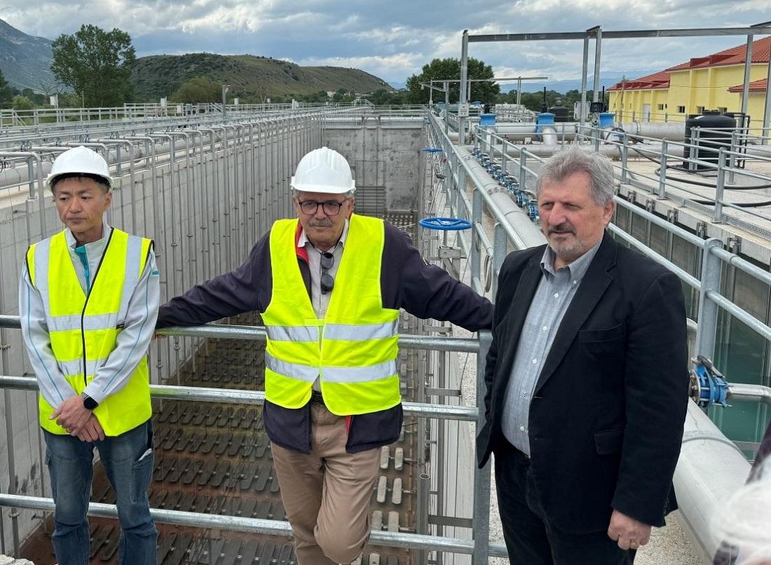 viologikos papadiotis