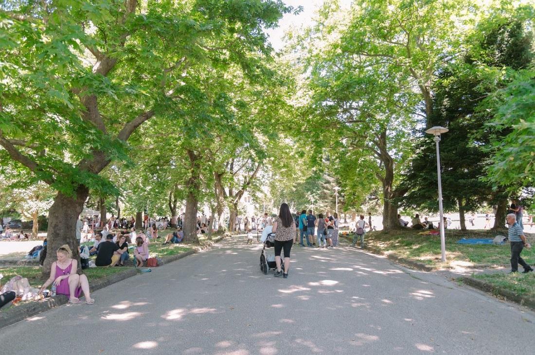 Pik Nik Litharitsia 1