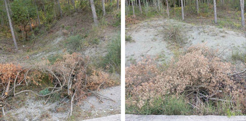 kladia dimos v tzoumerkwn Custom