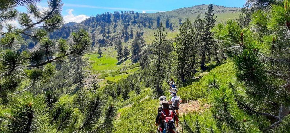 Valia Calda Oreivatikos