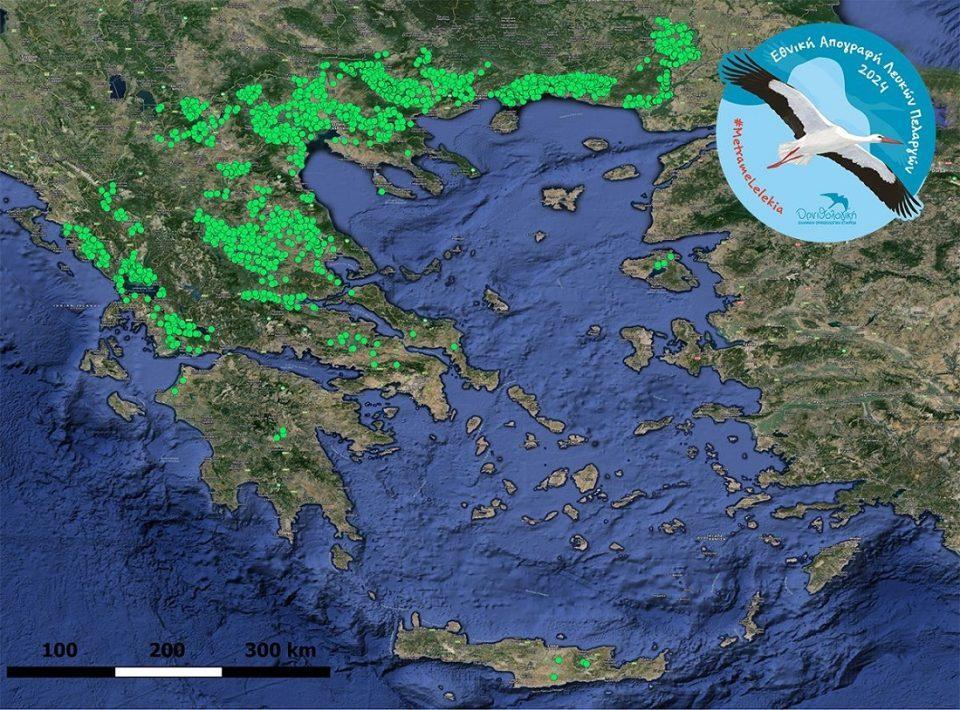 apografi pelargwn 2024