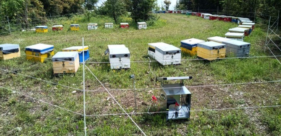 ilektroforaperifraksi