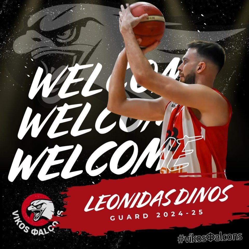 Dinos Leonidas Vikos Falcons