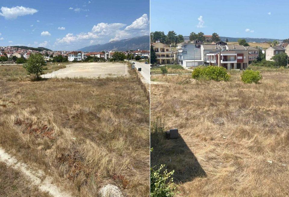 Votanikos xerohorta 1