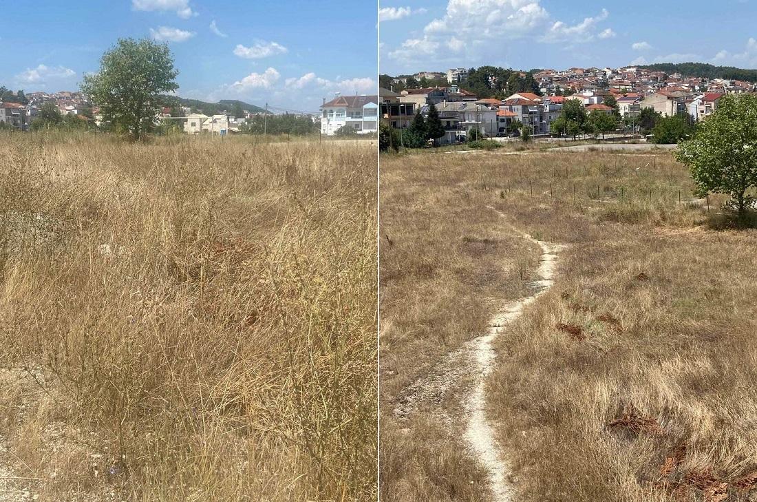 «Ζούγκλα» από ξερόχορτα σε δημοτικό οικόπεδο στον Βοτανικό… 55 Votanikos xerohorta 2