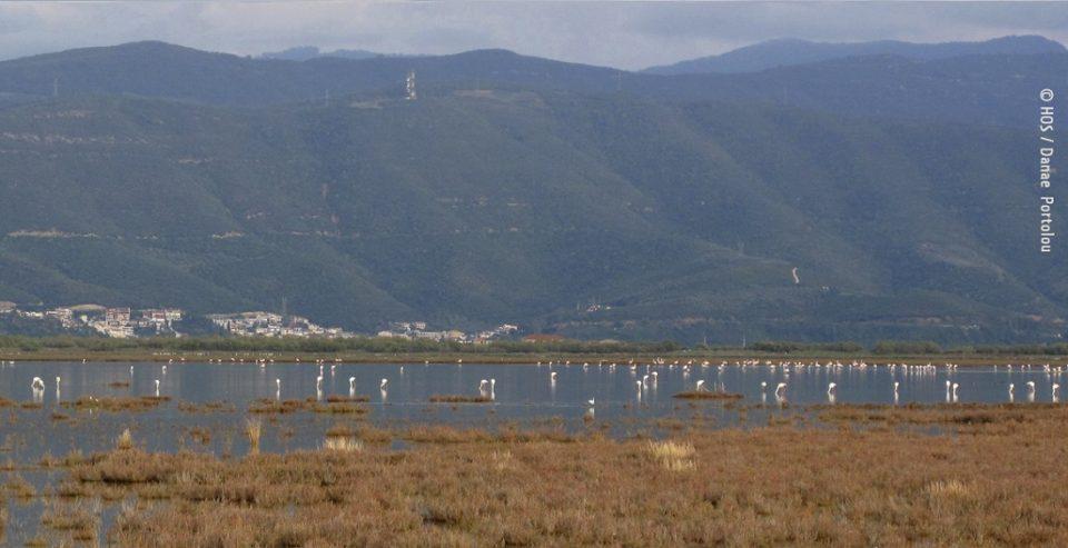 Amvrakikos Ornithologiki