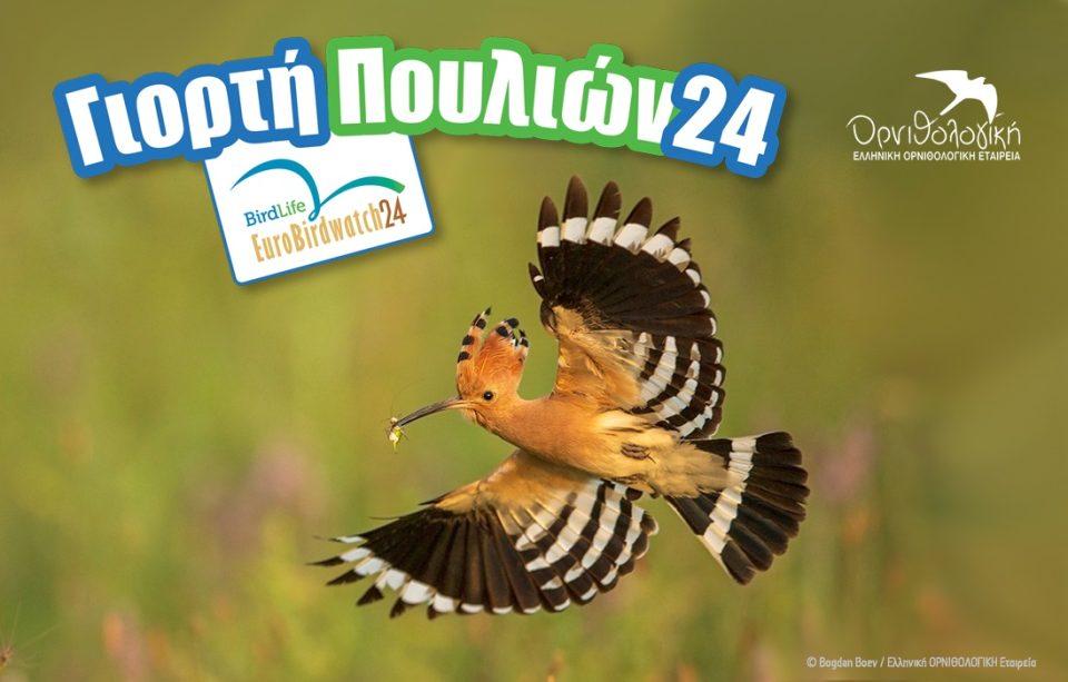 Eurobirdwatch 24