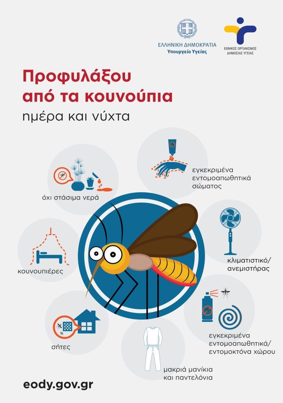 dytikoy neiloy poster