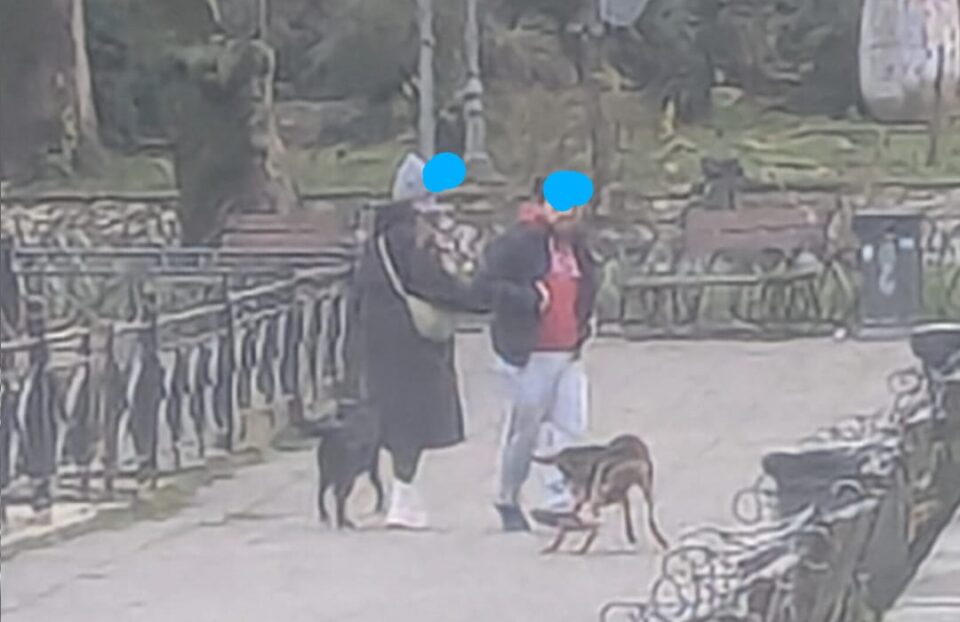 epithetiko skyli