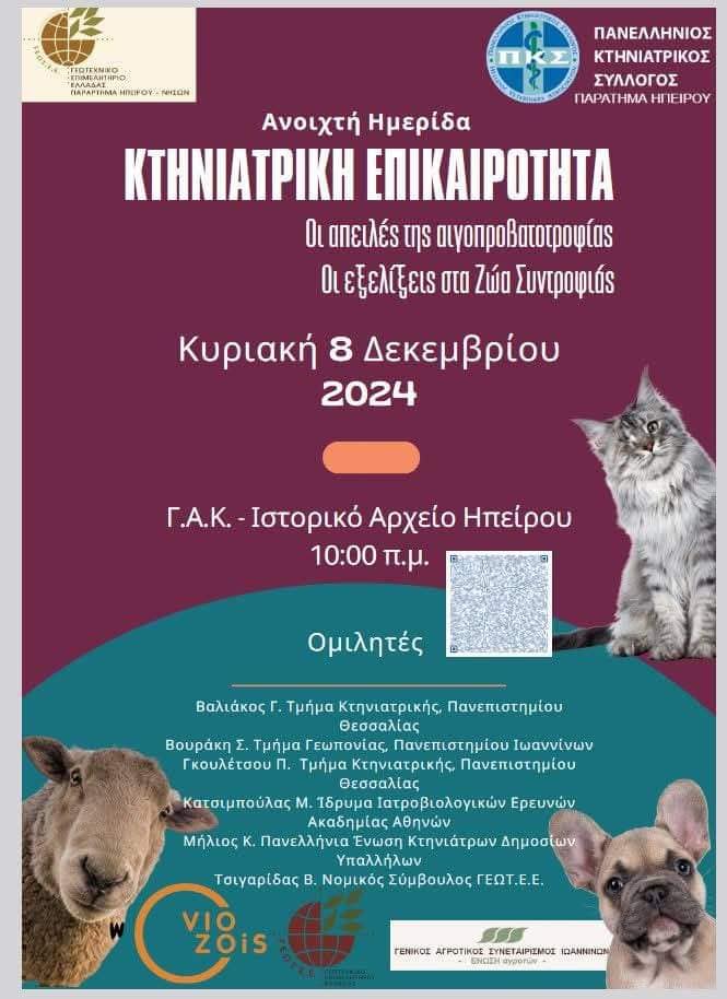 kthniatriki epikairotita