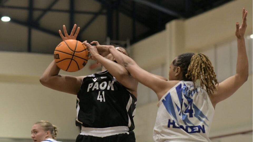 pas giannina wbc paok