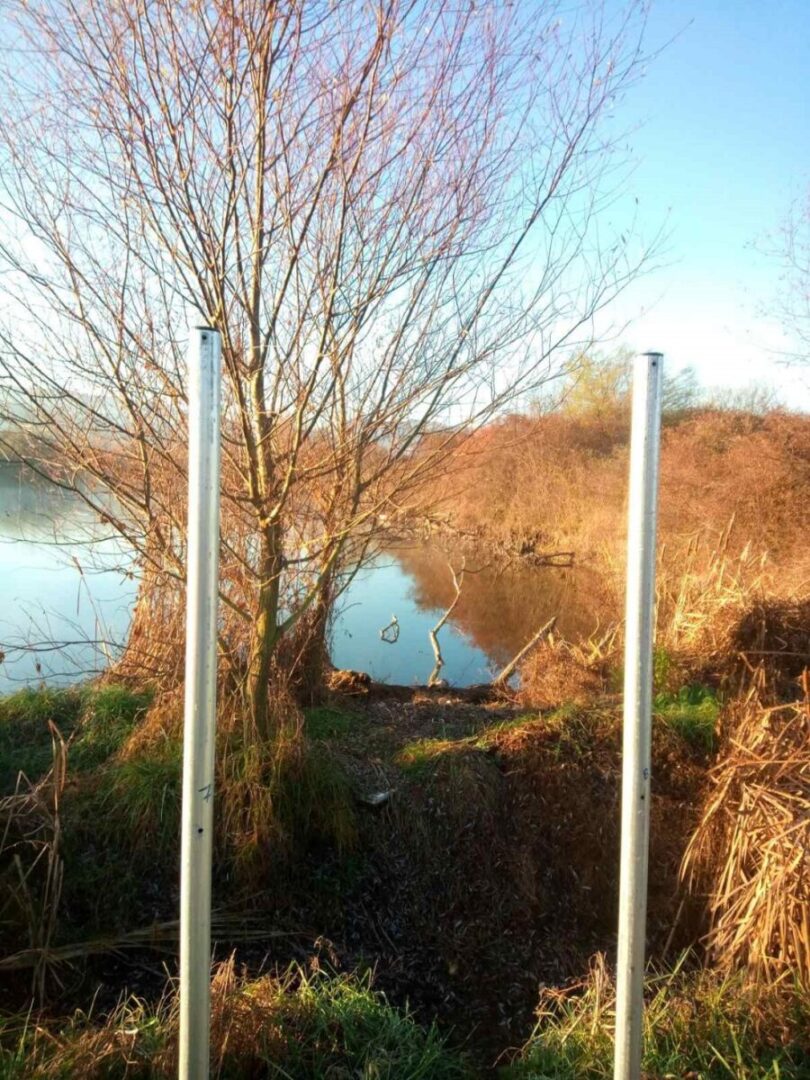 pinakida limnia klopi scaled