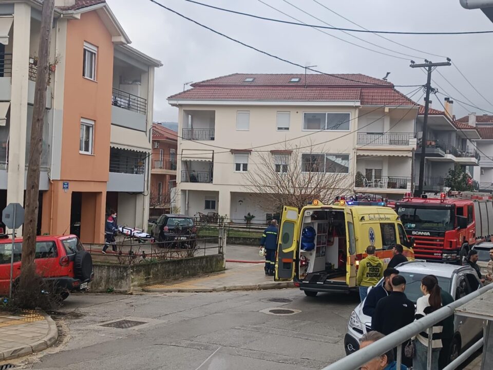 pyskagia mezoneta seismoplhkta