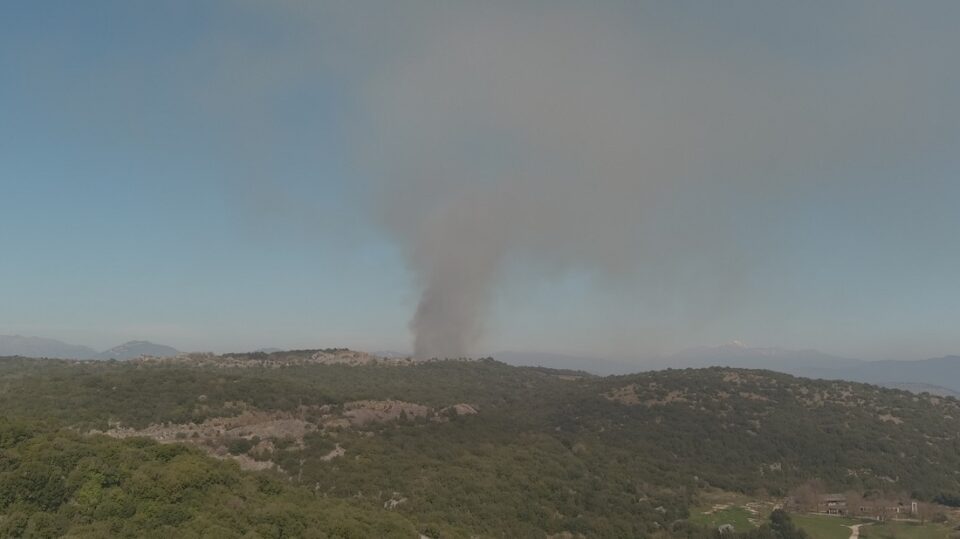 Ntamari kafsi kladematwn