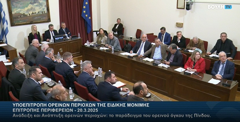 vouli epitropi pindos
