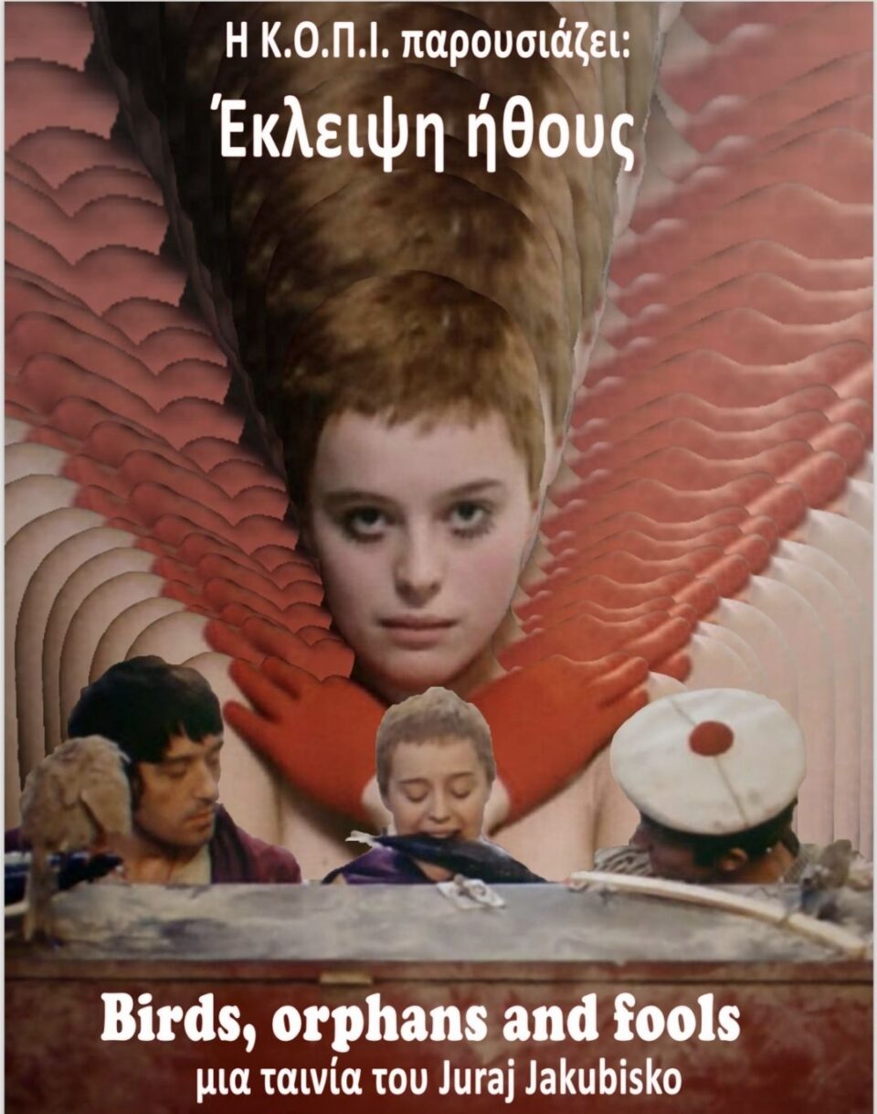 Birds orphans and fools