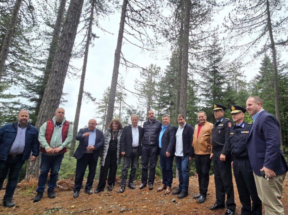 Kefalogiannis Valia Calda