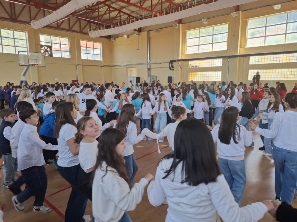 festival paradosiakon sxoleion metamorfosi
