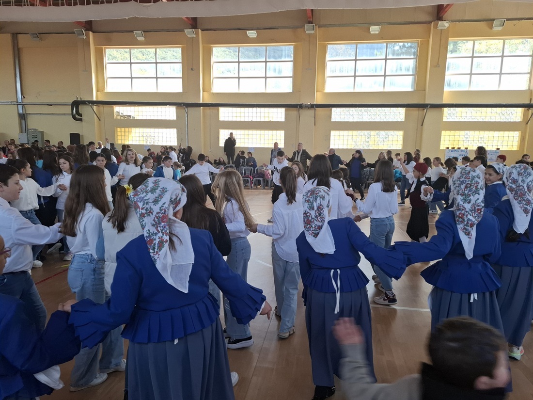 festival paradosiakon sxoleion metamorfosi1