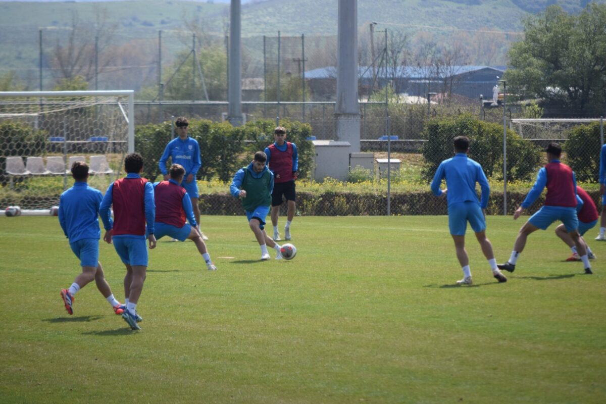 peaki pas proponisi scaled